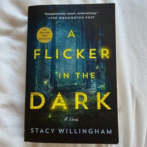 A Flicker In The Dark by Stacy Willingham